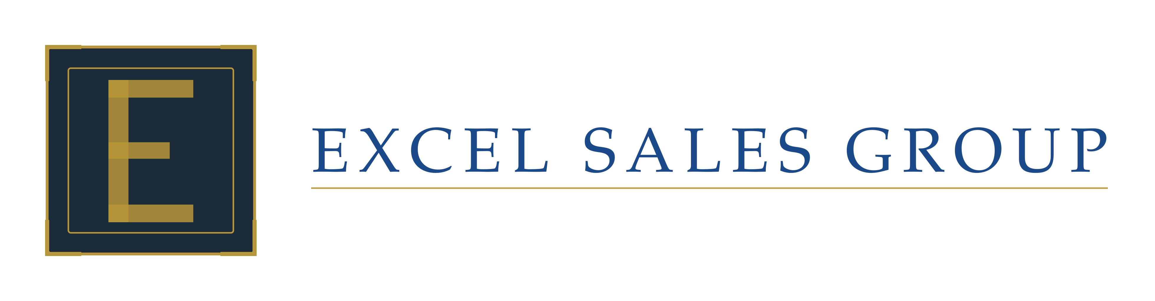 Excel Sales Group